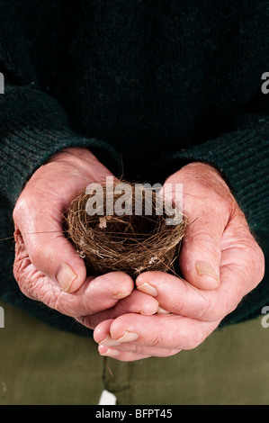 close up of birds next being held by senior mans hand Stock Photo