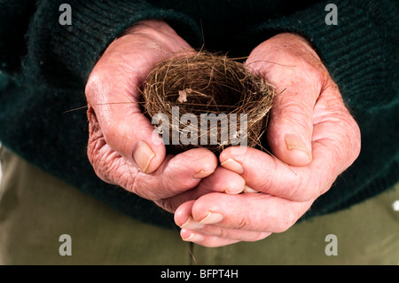 close up of birds next being held by senior mans hand Stock Photo