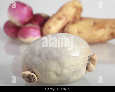 A raw haggis, the traditional Scottish stuffed sheep's stomach with turnips and potatoes the ingredients of a Burns Night supper Stock Photo