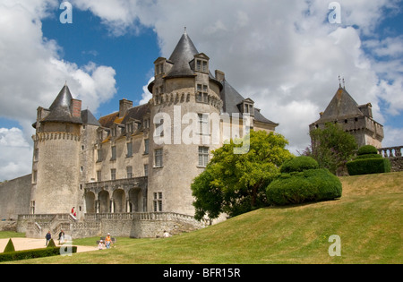 Chateau La Roche Courbon Stock Photo