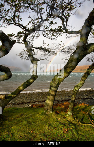 Raindrops on camera lens with trees and rainbow over Scottish loch. Stock Photo