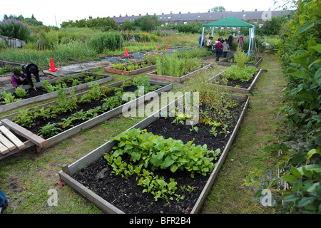 Children visit a local allotment near to the school to learn about healthy eating and gardening, West Yorkshire Stock Photo