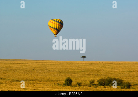 Hot air balloon flights over the grassy plains of Maasai Mara Reserve Stock Photo