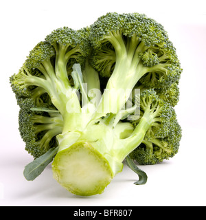 Vibrant green broccolli head isolated against white background. Stock Photo