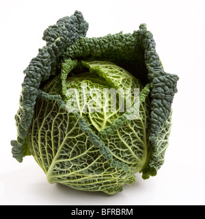 Fresh healthy looking savoy cabbage isolated against white background. Stock Photo