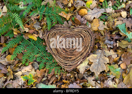 I love nature heart with autumn leaves Stock Photo