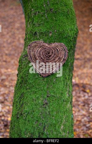 I love nature heart Stock Photo