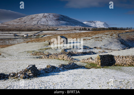 Yorkshire Dales Winter snow scene snow covered fields drystone walls and Barn with Simon Fell and Ingleborough Hill  UK Stock Photo