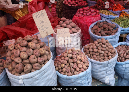 Variety of potatoes on sale in street market , La Paz , Bolivia Stock Photo