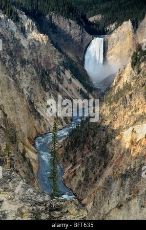 Grand Canyon of the Yellowstone with Lower Falls, Yellowstone National Park, Wyoming, USA Stock Photo