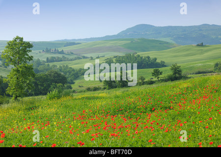 Castiglione d'Orcia, Siena Province, Val d'Orcia, Tuscany, Italy Stock Photo