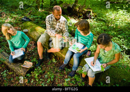 teacher and pupils at the wood Stock Photo