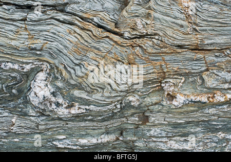 Highly deformed rocks with complex folding at Trearddur Bay near Holyhead, Anglesey, Wales Stock Photo