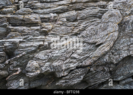 Highly deformed rocks at Trearddur Bay near Holyhead, Anglesey, Wales Stock Photo