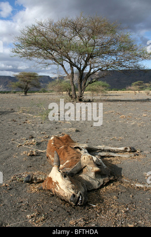 lake natron human deaths