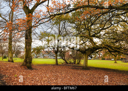 Worsley village green. Greater Manchester. Stock Photo