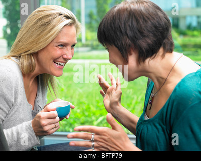 Women having a nice conversation Stock Photo