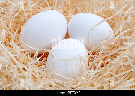 three eggs on hay Stock Photo