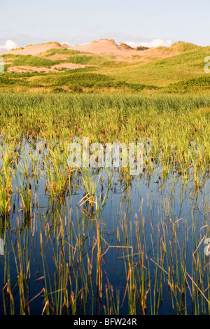 The Greenwich sand dunes in Prince Edward Island National Park Stock Photo