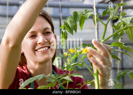 woman caring for tomato plant Stock Photo