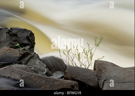 Rapids and standing waves in Onaping River above waterfall, Greater Sudbury, Ontario, Canada Stock Photo