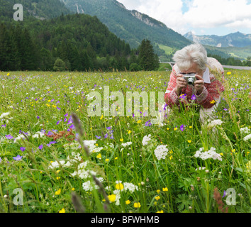 Woman photographing field of flowers Stock Photo