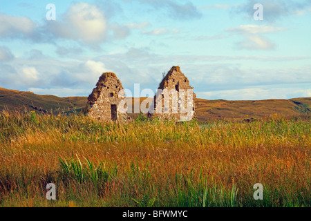 Ruins of a house at Finlaggan, once the seat of the Lords of the Isles. Islay, Scotland Stock Photo