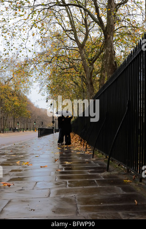 Romantic reflections, City of Westminster, London Stock Photo