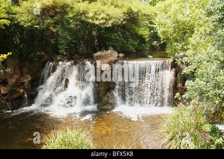 Artificial river - water stream (brook) and water fall (waterfall) at the Palace Hotel, Sun City, South Africa, November, 2009 Stock Photo