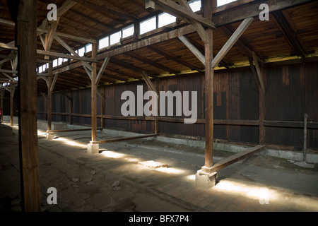 Inside a hut / shed of the Birkenau (Auschwitz II - Birkenau) Nazi death camp in Oswiecim, Poland. Stock Photo