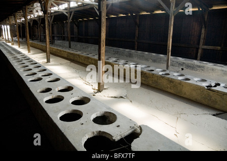 Toilets inside a latrine hut / shed of the Birkenau (Auschwitz II - Birkenau) Nazi death camp in Oswiecim, Poland. Stock Photo