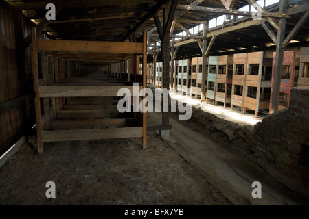 Inside a hut / shed – with bunks for prisoners – of the Birkenau (Auschwitz II - Birkenau) Nazi death camp in Oswiecim, Poland. Stock Photo