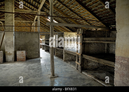 Bunks for prisoners inside a hut (number 3)/ shed of the Birkenau (Auschwitz II - Birkenau) Nazi death camp in Oswiecim, Poland. Stock Photo