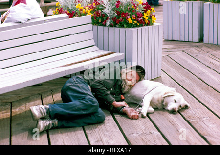Old Man lying down and sleeping with Pet Dog below a Bench, Outside on Wooden Boardwalk, Best Friends Stock Photo
