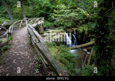 Hareshaw Linn Water fall Bellingham Northumberland UK Stock Photo