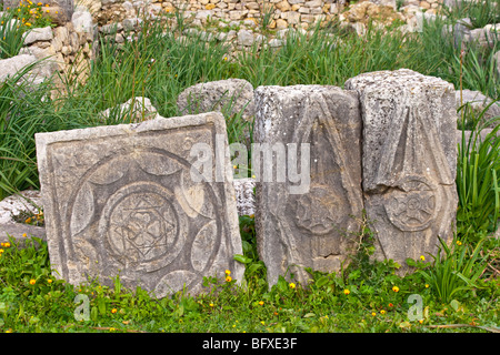 Roman ruins in Volubilis in Morocco Stock Photo