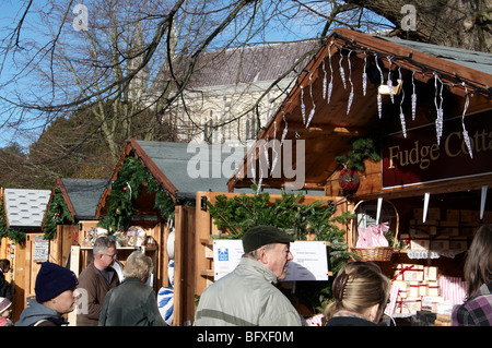 Winchester Christmas market 2009 in the cathedral close with 91 stalls and an ice rink. Stock Photo