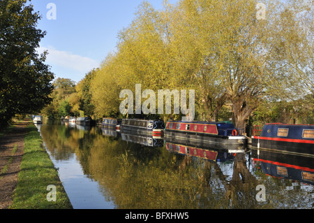 Autumn scenes on the Grand Union Canal in Hertfordshire, UK. Stock Photo