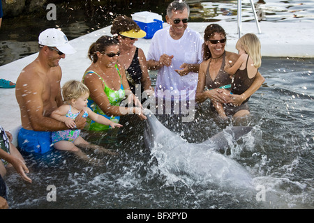 Human interaction with dolphins is part of an educational process at the Dolphin Research Center Grassy Key Florida Stock Photo