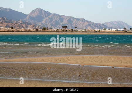 Beach, red sea. Egypt, Dahab, Sinai Peninsula. Stock Photo