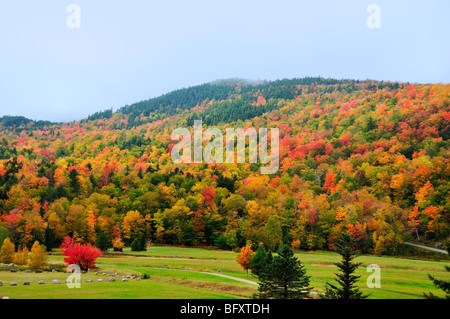 Fog rolls over the Green Mountains and softens the brilliant autumn foliage of the Adirondack mountain chain, in Vermont, USA. Stock Photo