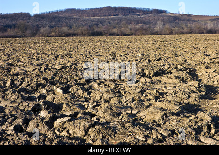 fall landscape with fallow land Stock Photo