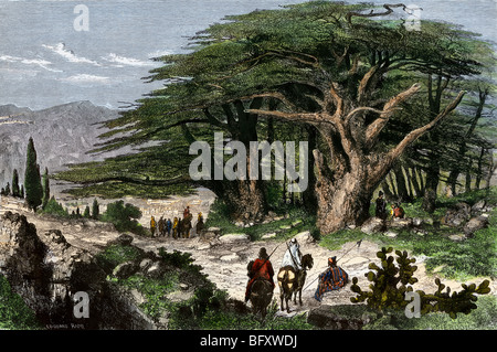 Travelers stopping to rest among a grove of cedars in Lebanon. Hand-colored woodcut Stock Photo