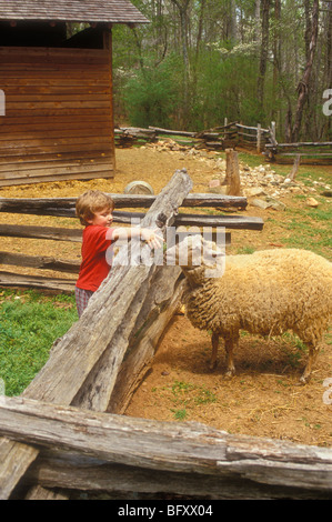 Horne Creek Living History Farm, Pilot Mountain, North, Carolina Stock Photo