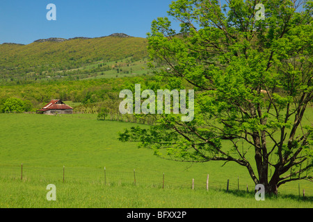 Farm with barn at foot of North Fork Mountain, Germany Valley, Judy Gap, West Virginia Stock Photo