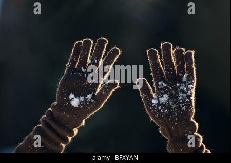 Woman's hands wearing gloves Stock Photo