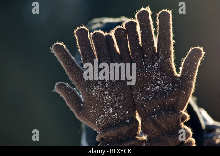 Woman's hands wearing gloves Stock Photo