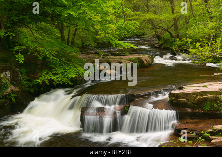 Taf Fechan Stream Brecon Beacons Powys Wales Stock Photo