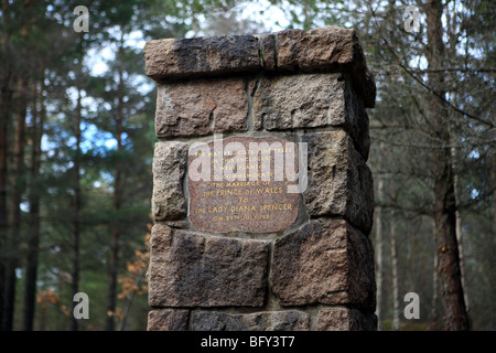 Plaque commemorating the marriage of Prince of Wales and Lady Diana Spencer on 29 July 1981 in a native Scots Pine forest Stock Photo