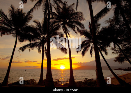 Sunset, Kamaole Beach Park, Kihei, Maui, hawaii Stock Photo
